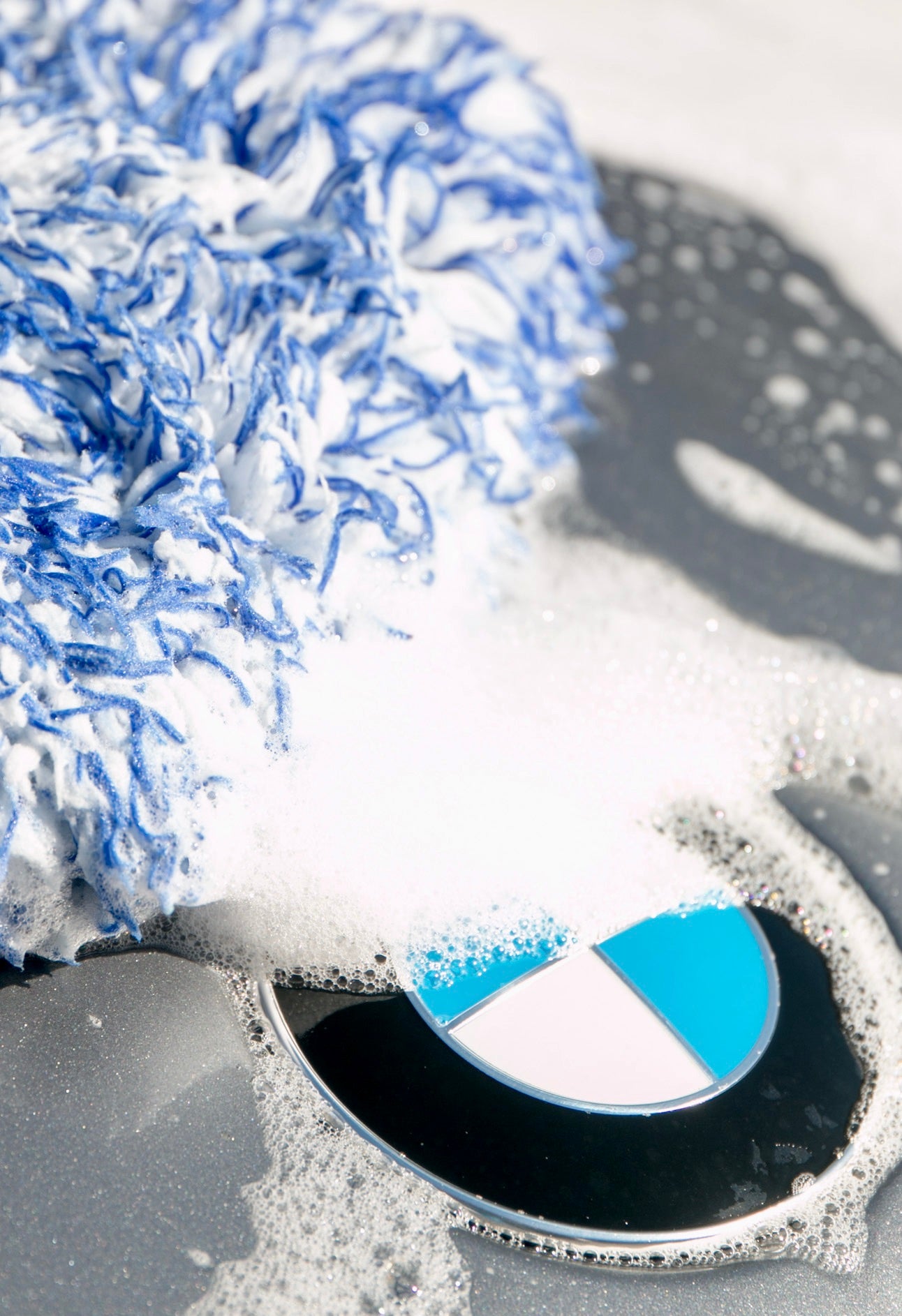 Wash Mitt